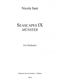 Seascape IX Munster